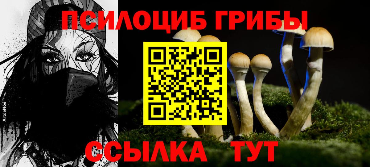 Галлюциногенные грибы ЛСД  купить наркотик  Великий Устюг  Вход с VPN 
