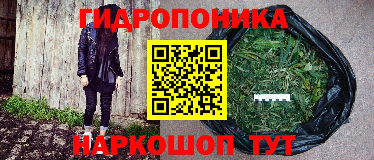 Бошки марихуана план Великий Устюг